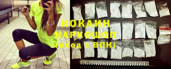 бошки Алексин